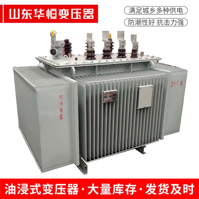 S13-10000/35洛龙洛龙洛龙电力变压器厂家