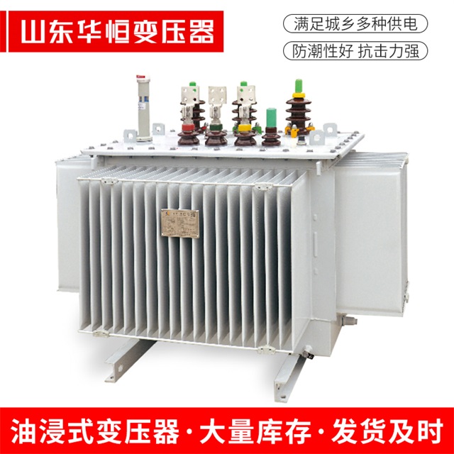 S13-10000/35洛龙洛龙洛龙电力变压器
